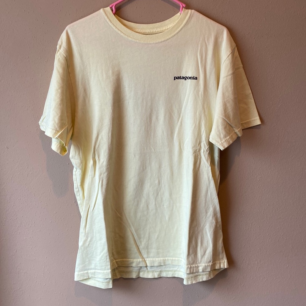 Patagonia tee